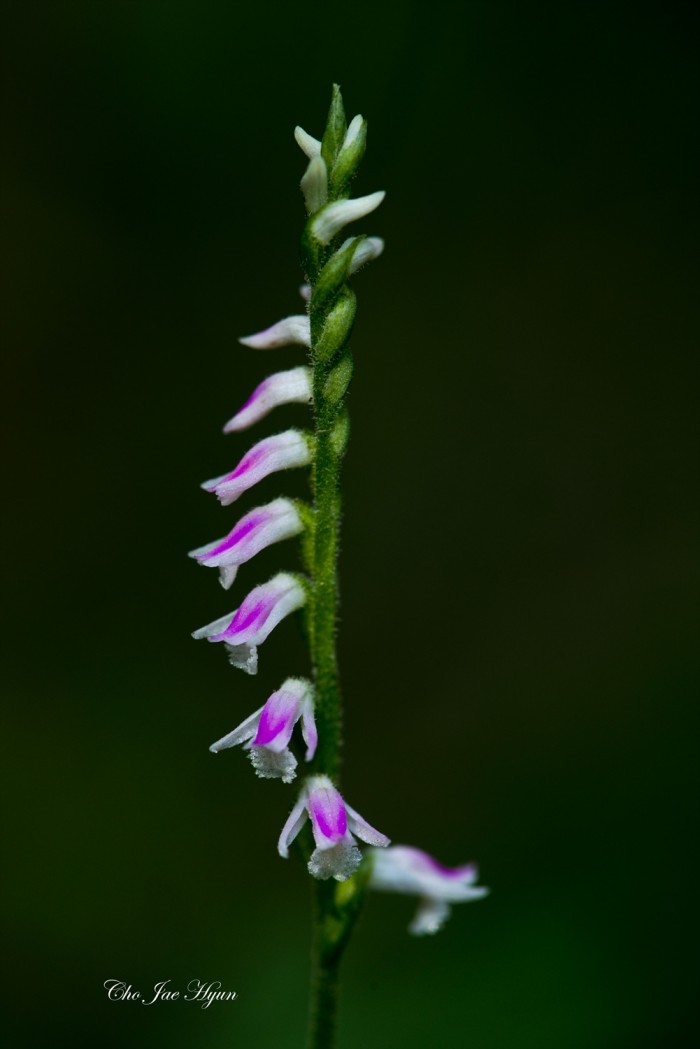 ad171cf1359c192fbe87d37bc59f8557.jpg