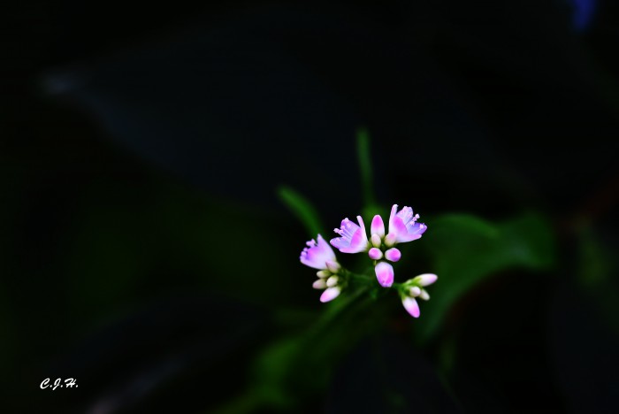 bfe9ea600e271b068308500ed65171b5.jpg